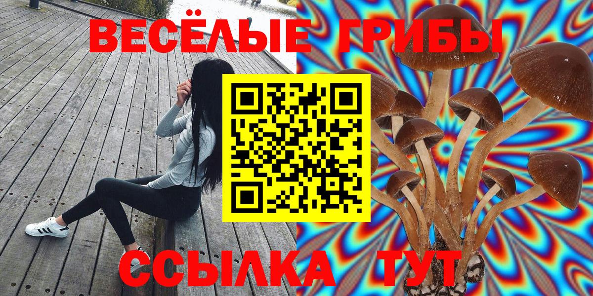 Псилоцибиновые грибы Magic Shrooms  Вход с VPN  Анжеро-Судженск  Псилоцибиновые грибы Cubensis 