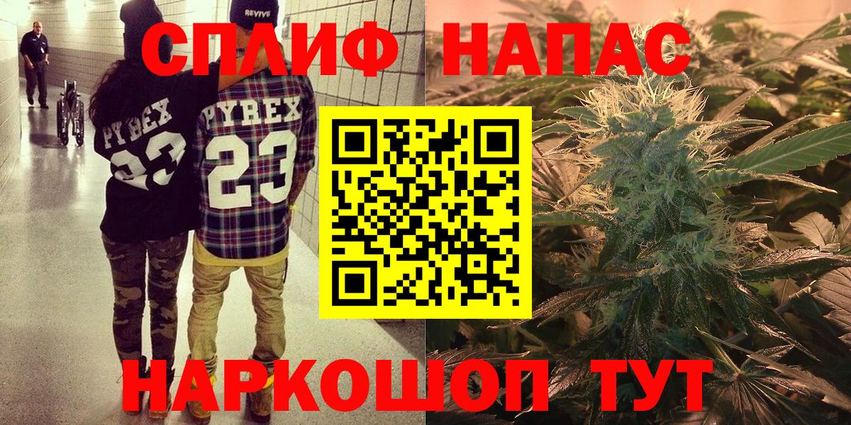 Канабис планчик Анжеро-Судженск